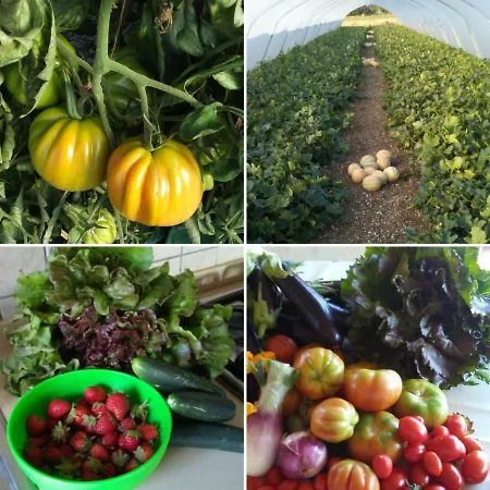 Nato Contadino Farm stay Capalbio