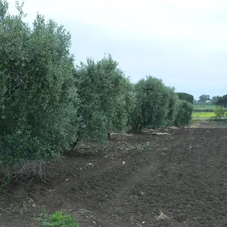 Nato Contadino Farm stay *